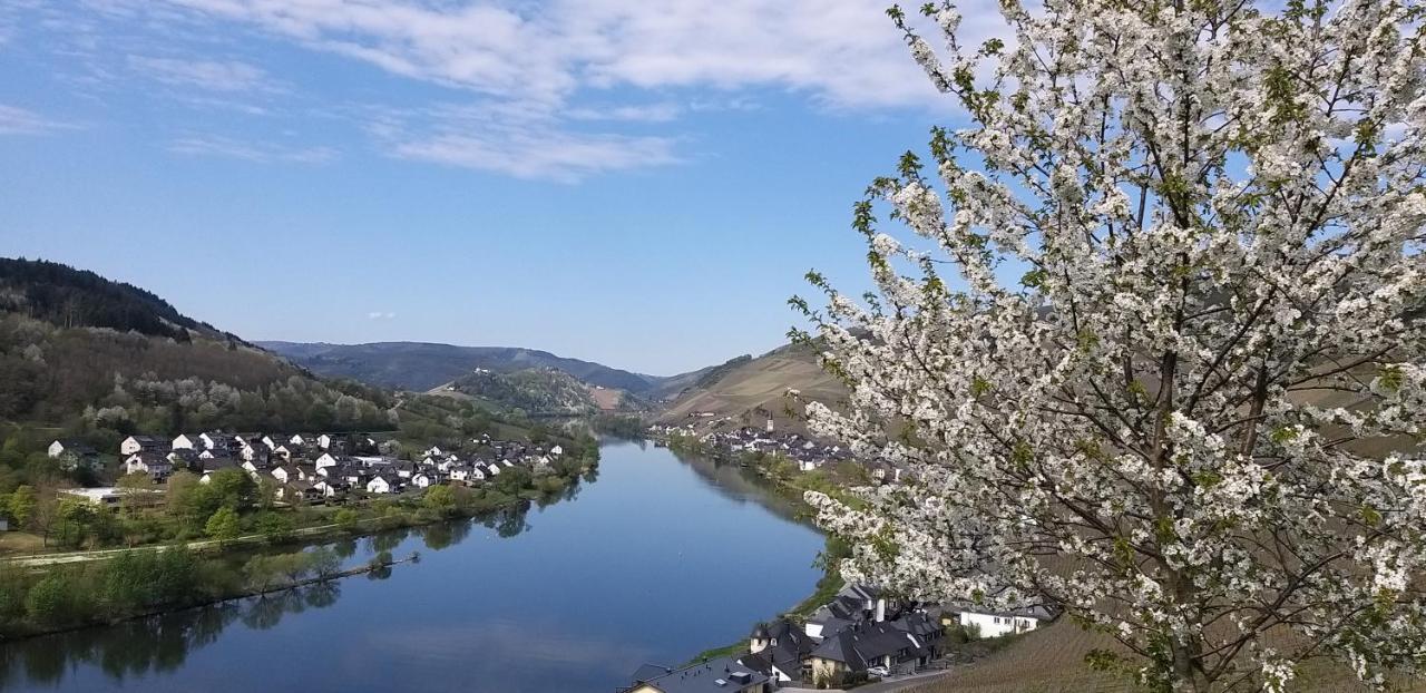Mosel-Appartements Nehren Zell an der Mosel Ngoại thất bức ảnh
