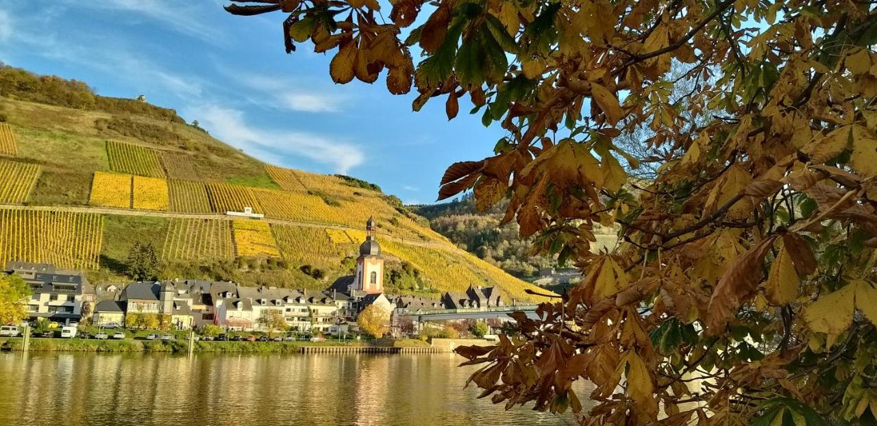 Mosel-Appartements Nehren Zell an der Mosel Ngoại thất bức ảnh